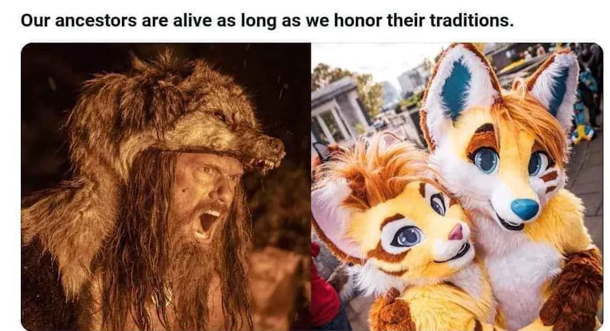 Traditional fursuit vs furry fursuit